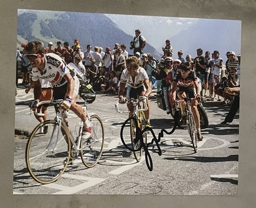 Greg lemond hand signed 10x8 - greg,