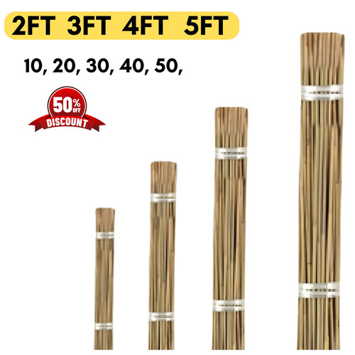 Ft bamboo garden canes - 2/3/4/5,