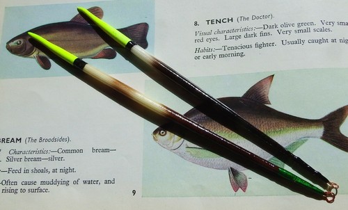 Pair medium sized - of, medium-sized