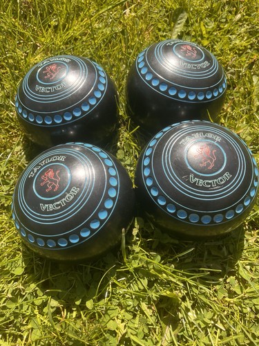 Lawn bowls taylor vector - lawn,