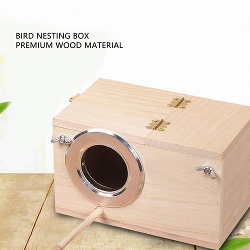 Parakeet nesting box solid - nesting,