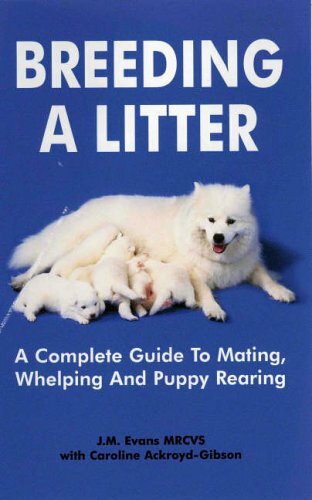 Breeding litter a - a, complete