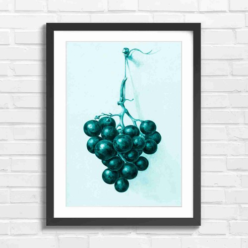 Vintage purple grapes - vintage,