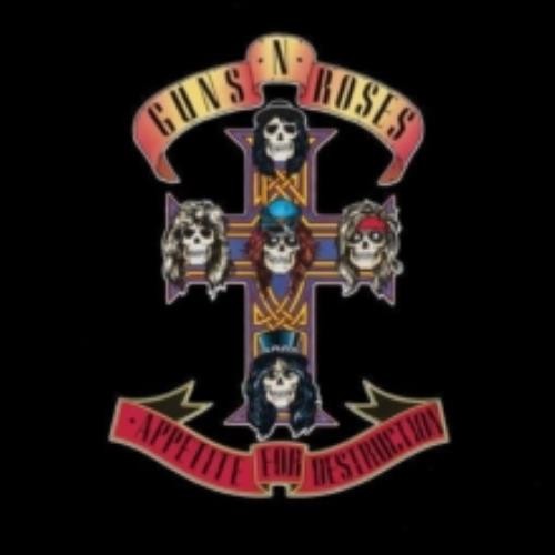 Guns roses appetite - guns, for