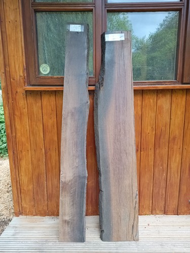 Bog oak morta wood rare - morta,
