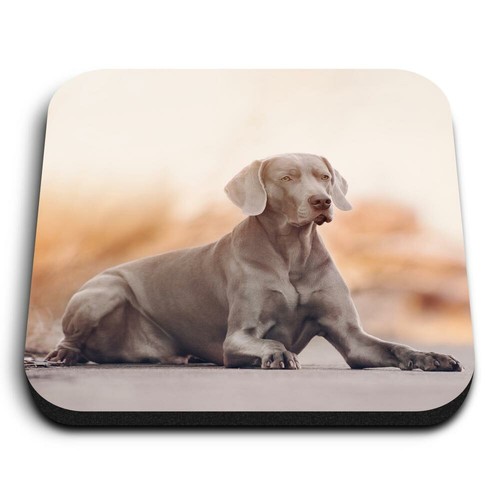 Square mdf magnets large - square,