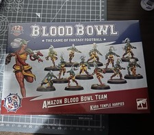 Blood Bowl Amazon Team Board
