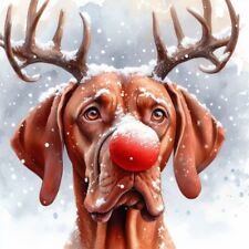 Single Luxury Vizsla Christmas Card Dog Gift/Present RUD