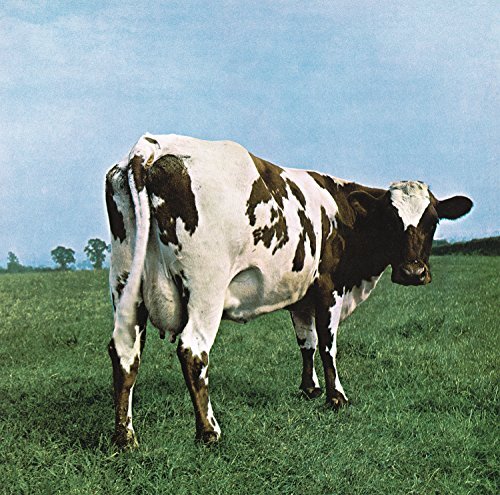 Pink floyd atom - pink, heart