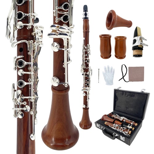Key professional - bb,