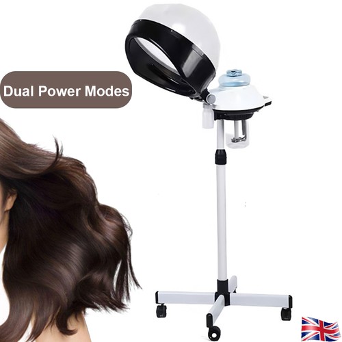 Professional hair steamer and - hair,
