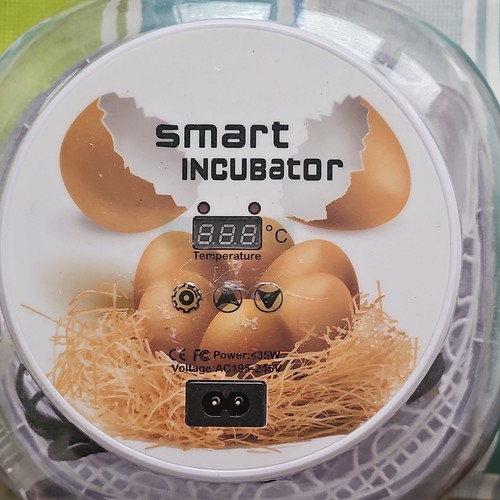 Automatic egg incubator - incubator, w/