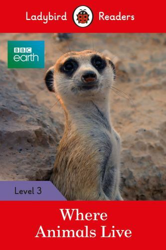 Ladybird readers level - readers,
