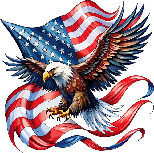 Eagle american flag - american, rv