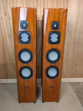Ayon Goshawk Floor standing speakers - fantastic audio quality - audiophile
