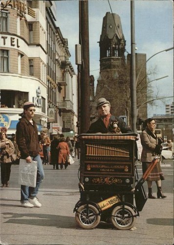 Barrel organ lyre box - ,