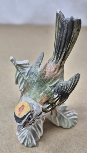 Goebel firecrest bird - firecrest,