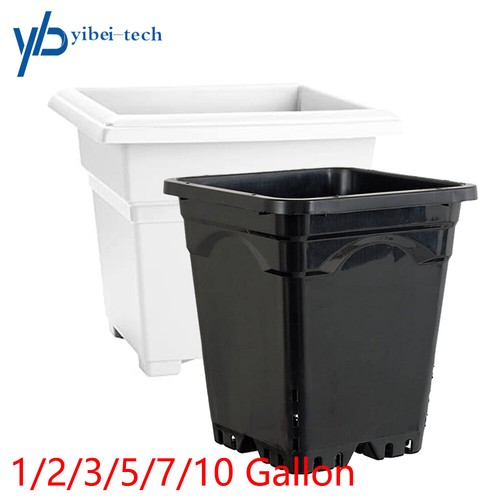 10 gallon re - gallon, re-usable
