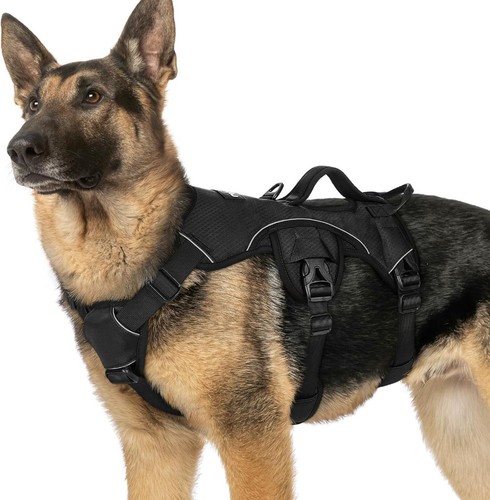 Rabbitgoo escape proof dog - proof,