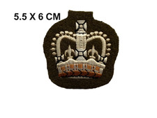 WO2 Army Platoon Sergeant