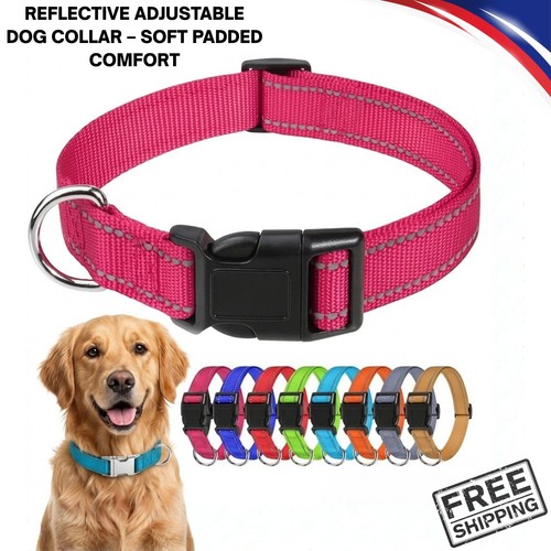 Dog collar reflective - dog,