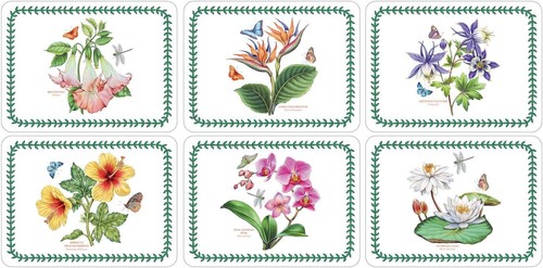 Pimpernel botanic garden - x,