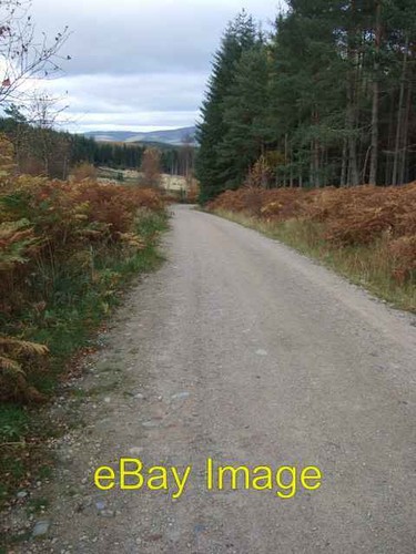 Photo 6x4 mountain - photo, trail
