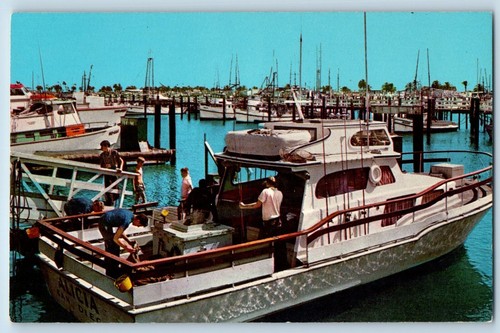 San diego california postcard - california,