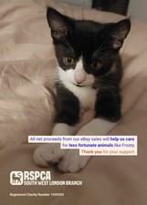RSPCA SW LONDON FOUND FROSTY