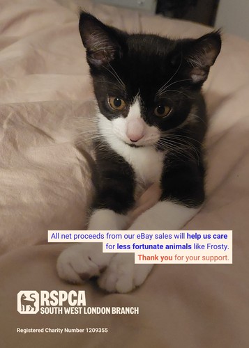 Rspca london found frosty - london,