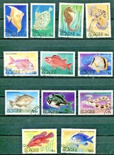 Tropical Fish Guinea #795 -