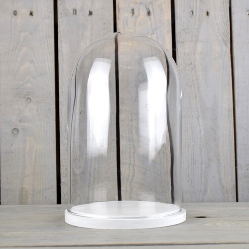 Medium glass dome - glass,