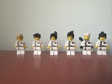 Leo Ninjago Training Suit Ninja Lego Ninjago Movie Bundle