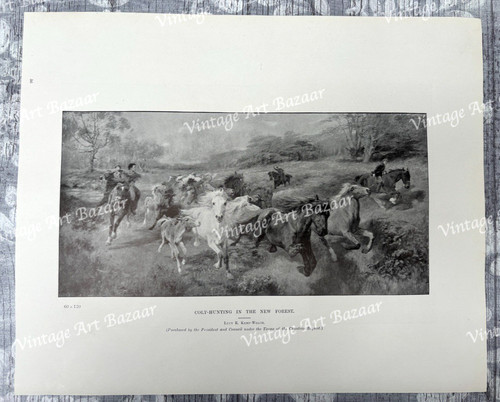 Lucy kemp welch - lucy, colt-hunting