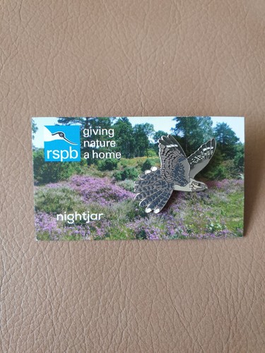 Rspb nightjar enamel pin badge - rspb,