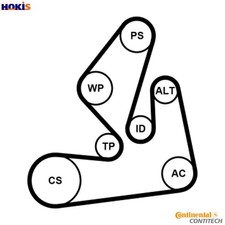 VRIBBED BELT SET 7PK1970K1 FOR