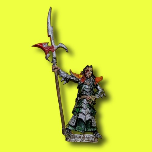 Dark elves black guard - dark,