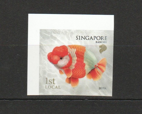 Singapore 2019 goldfish - singapore, 1st