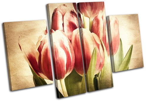 Tulips flowers vintage multi - flowers,