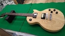 Gibson Les Paul Studio Swamp