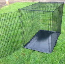 Dog Crate - Extra-Large with Single Door - 54" for Giant Breeds
