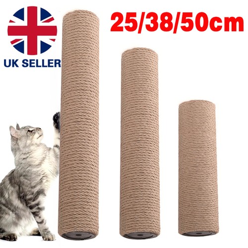 Cat scratching post - cat, tree