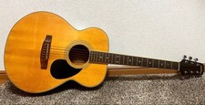 Walden Acoustic Guitar