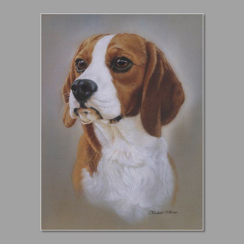 Beagle dog print - -, x