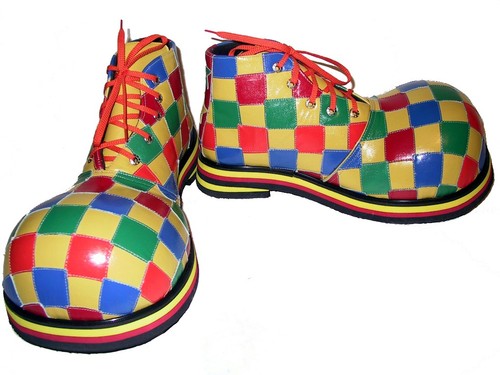 Professional clown shoes - clown,