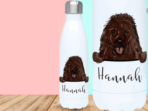 Irish water spaniel - water,