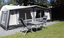 Isabella Ambassador Seed 1015