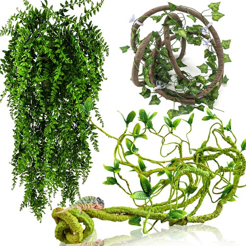 Hercocci reptile vines - reptile,