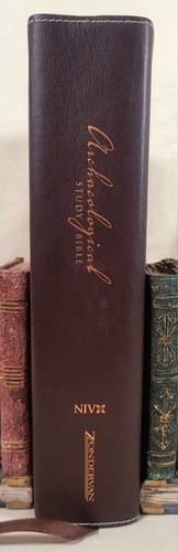 Niv archaeological study - niv,