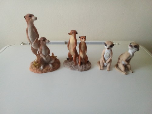 Meerkat ornaments 4 - meerkat,
